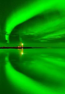 Northern Lights Iceland 