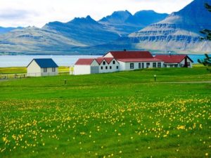Reasons to visit Iceland